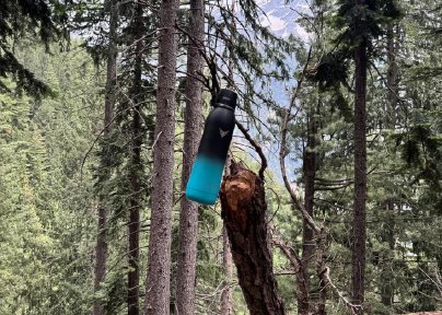 Image gallery marquee